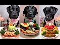 Black Labradors Try Quail Eggs Slices Shrimps Broccoli Noodles More Epic Dog Food Showdown