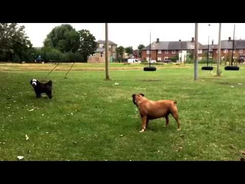 JON JON My Protection