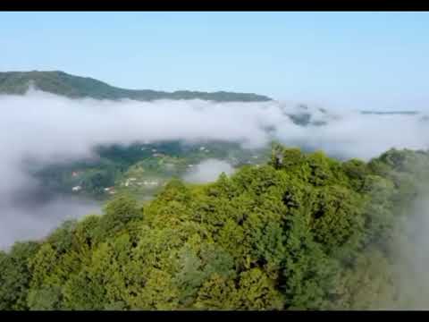 Tamil tpm songs no 491