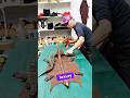 How Crocodile Leather Products Are Made: A Luxury Crafting Process #crocodileleather #clothes
