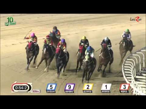 Indian Star - Busan Racecourse - April 1, 2016 (English)