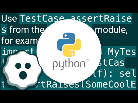 How Do You Test That A Python Function Throws An Exception