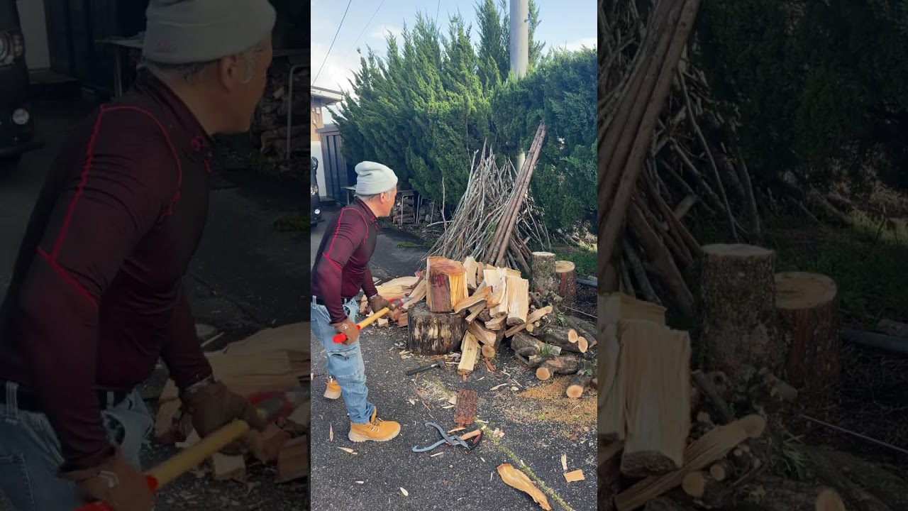 ライブ ハイライト