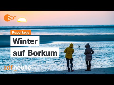 Pure North Sea: When real life returns to Borkum | ZDF report