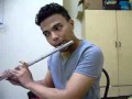 Firework Flute Cover
