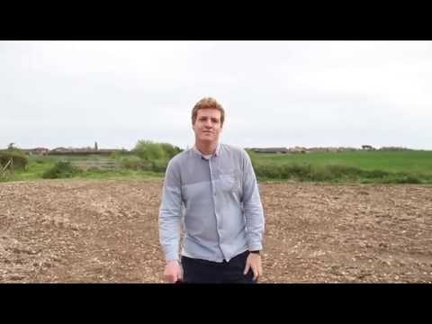 download lagu mp3 mp4 Hemp Trading, download lagu Hemp Trading gratis, unduh video klip Hemp Trading