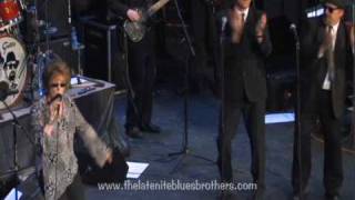 See Saw-The Late Nite Blues Brothers Band