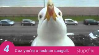 lyric to lesbian seagull Asian anal milf video