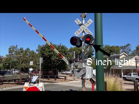 Railroad Crossings With 8 Inch Lights Pt. 1 [2022] (Compilation)