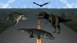 Highway Of Life: From Mammals To Primates