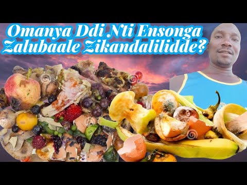 Omanya ddi nti ensonga zaalubaale Zikandalilidde Omulangira Jjuuko Munabuddu