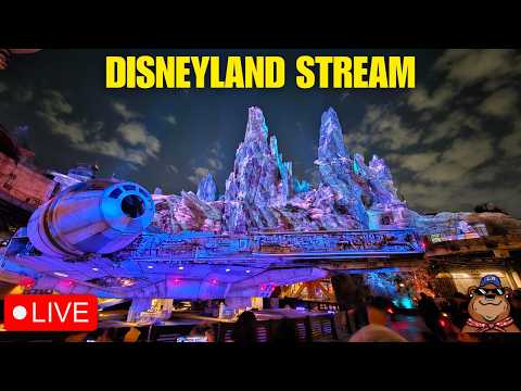 Live webcam of Koda Bear the Explorer 