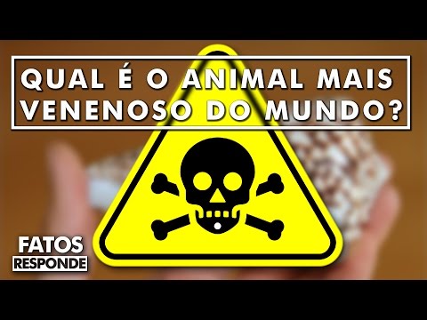 Natureza: Qual é o animal mais venenoso do mundo?