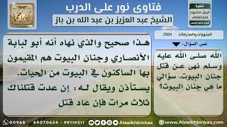 صورة 2901 - معنى الأمر بقتل الحيات إلا حيات البيوت - نور على الدرب