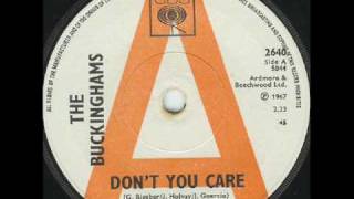 The Buckinghams - Don&#39;t You Care