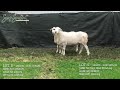 Lot 5 & 6