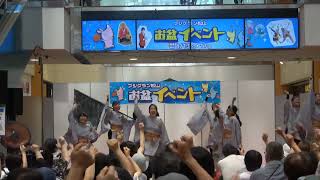 纏り衆縁陣２　４K～「愛媛よさこい ～夏の陣～ 彩の舞～」