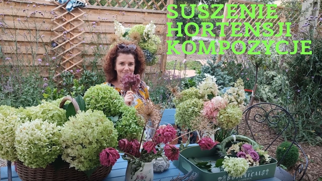 Jak zasuszyć hortensje - tworzenie kompozycji