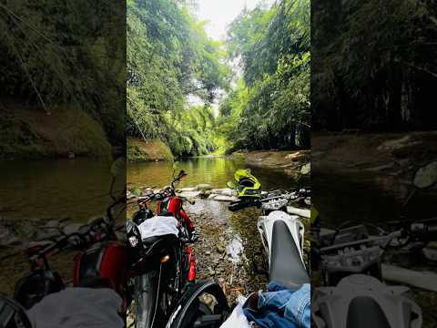 Aventura en el Jardín Botánico Lancetilla 🌿💧 | Ríos, montañas y naturaleza pura