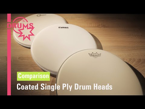 Single Ply Snare Drum Heads Comparison from REMO, Evans, Aquarian | Home Of Drums
