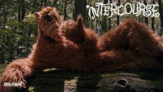INTERCOURSE – The Ballad of Max Wright