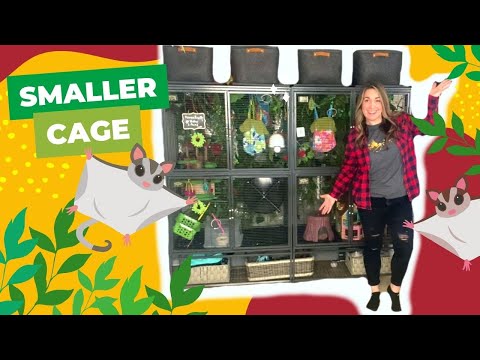 I DOWNSIZED The Sugar Glider Cage | Life Update
