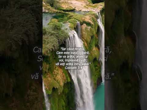 Epistola către Coloseni a lui Pavel 3:4 Iar când Hristos, Care este viaţa voastră, Se va arăta