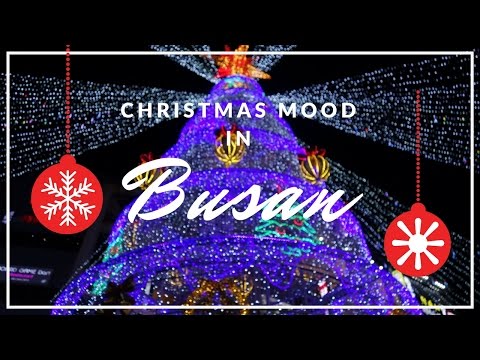 Busan Christmas Tree Festival | 부산 크리스마스트리 문화축제