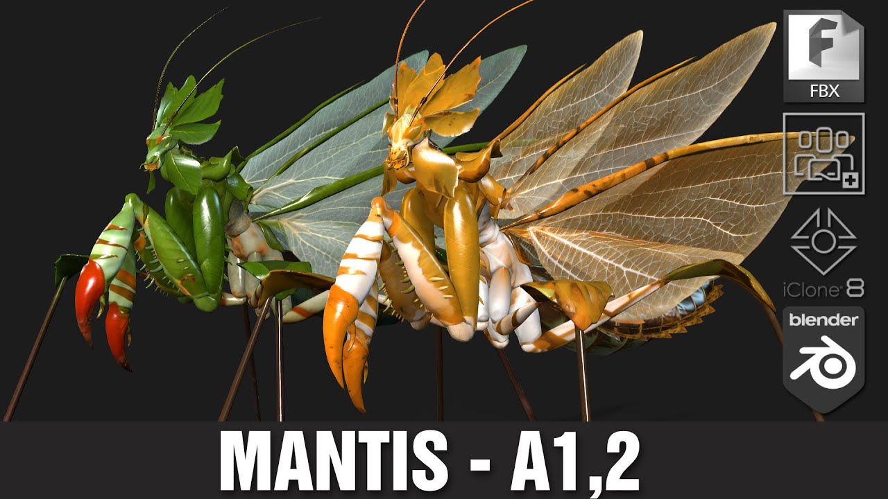 Mantis-A2 Modello 3D