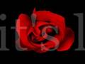 Promise - Matchbook Romance