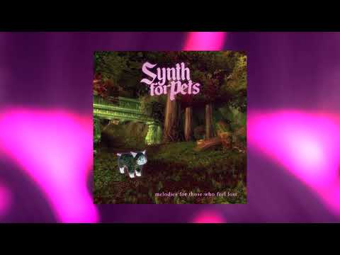 Synth for Pets - Melodies for those who feel lost