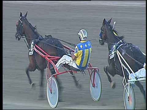 Trotto 09/09/2016 - 6° corsa