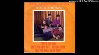 The Honeycombs - Colour Slide _ This too shall pass away - 01