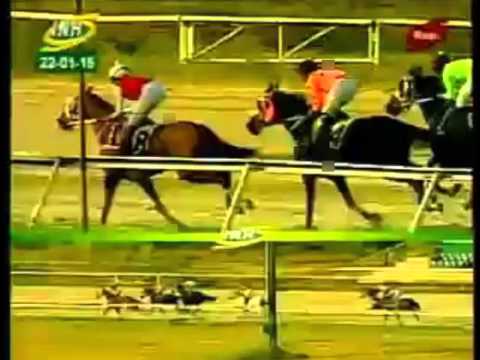 VALENCIA 8 CARRERA, VIERNES 22 DE ENERO DEL 2016