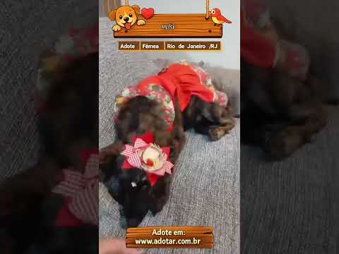 Vídeo de yuki