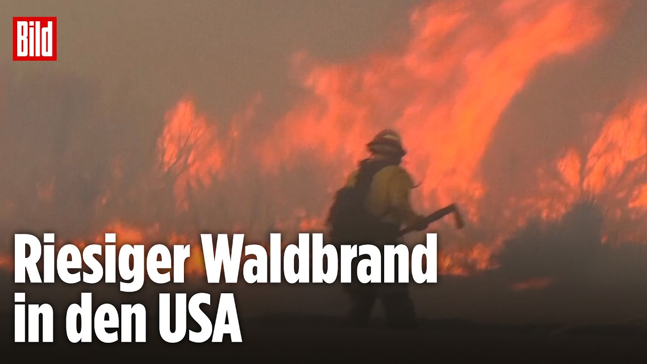 NEVADA: Flammenwand rast auf Reno zu – 90.000 Menschen evakuiert