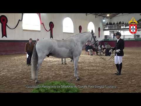 231021 17 Oceano QB - Aprovação de Reprodutores