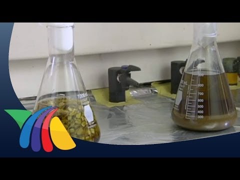 Trattamento con tintura di propoli sulla prostatite alcool Le donne che hanno bevuto Prostamol