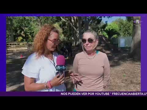 Equinoterapia en Maldonado: un nuevo espacio que transforma vidas