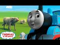 Thomas Percy On The Farm Song Learn With Thomas Thomas Friends UK
