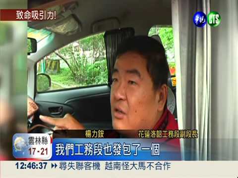 全球22大最危險公路 太魯閣上榜