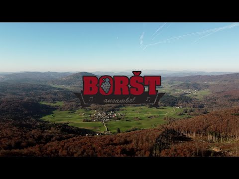 Ansambel Boršt - Ne zamenjam domače vasi