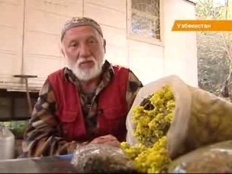 Эспандер при шейном остеохондрозе Физкультура при остеохондрозе позвоночника поясничного