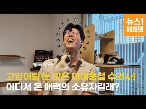 '나비야사랑해' 모래 후원한 김명철 수의사…"고양이도 알아보네" - 뉴스1