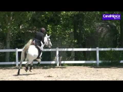 Fernando Araujo con Nugat Ex Osiiris 16.05.10