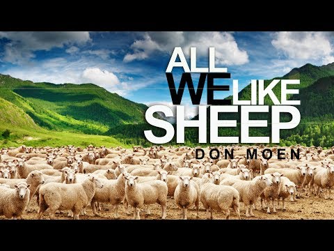 All We Like Sheep