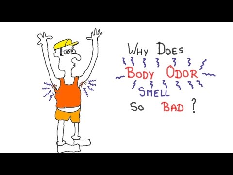 Why does body odor smell so bad?(How to eliminate it..)