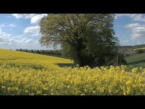 Raps - kann mehr als gedacht!
