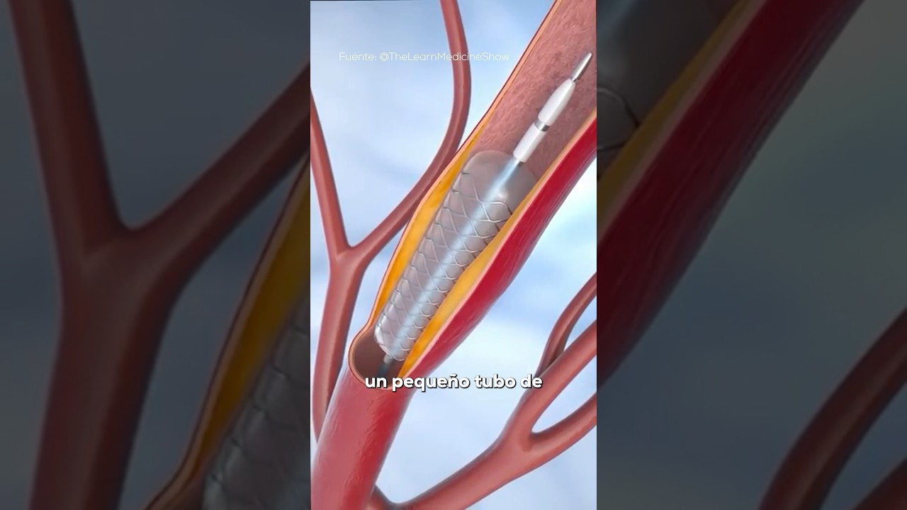 Laura Paola Aceves Chong-2