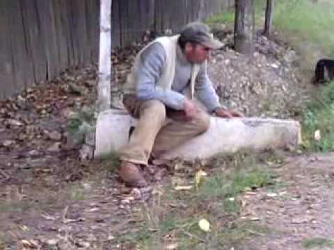 un betiv:)) dap  din ionasesti